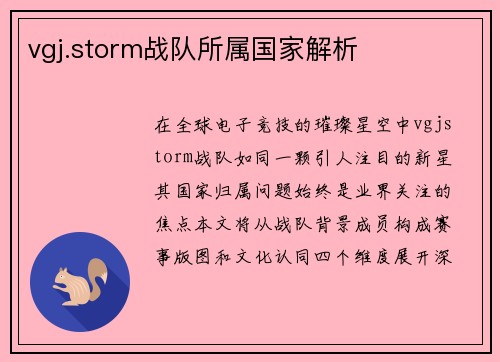 vgj.storm战队所属国家解析